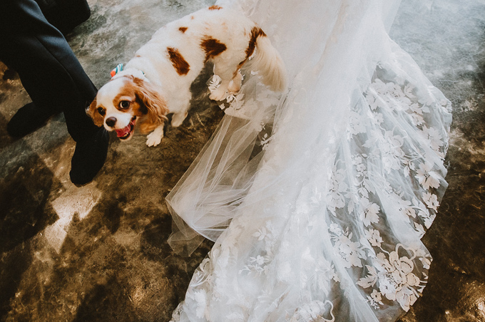wedding photography singapore armenian church sinfonia ristorante
