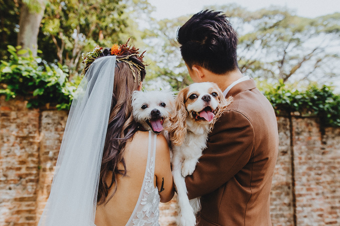 wedding photography singapore armenian church sinfonia ristorante